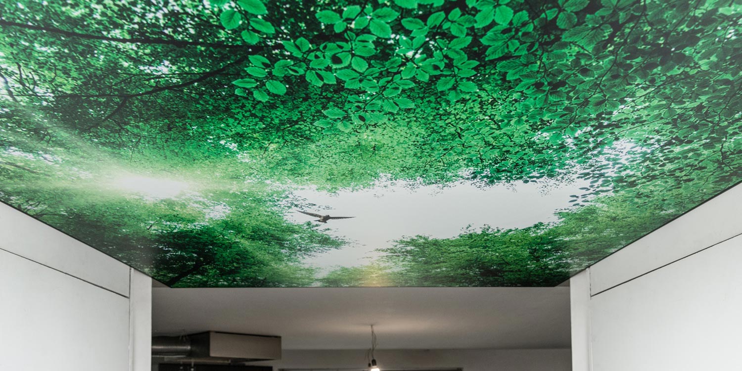 Fotoplafond